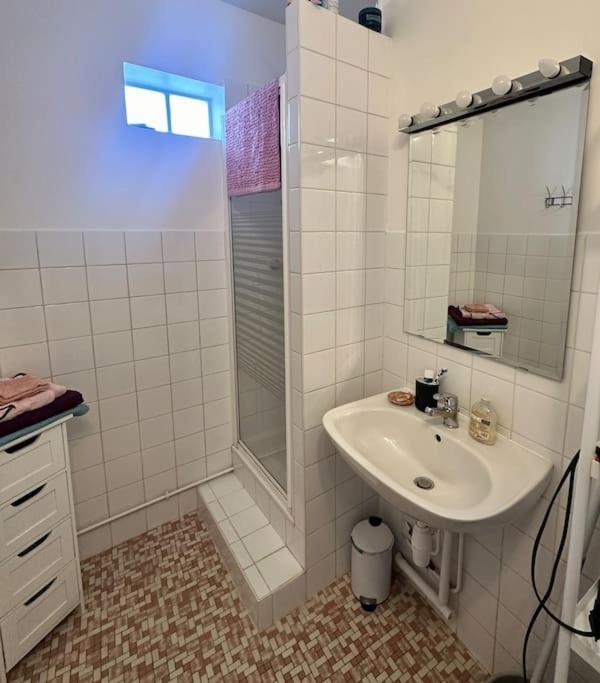 Lumineux Et Spacieux Appartement Paris Eksteriør billede